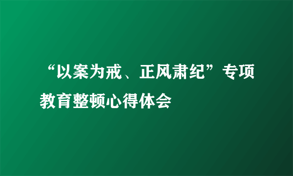“以案为戒、正风肃纪”专项教育整顿心得体会