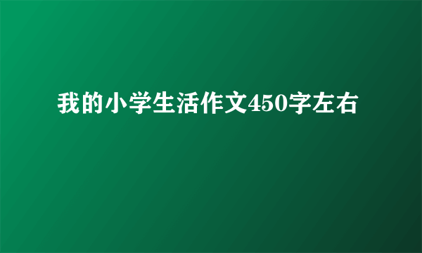 我的小学生活作文450字左右