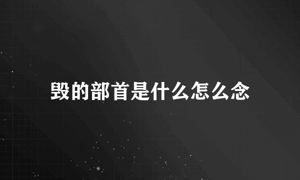 毁的部首是什么怎么念