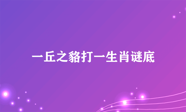 一丘之貉打一生肖谜底