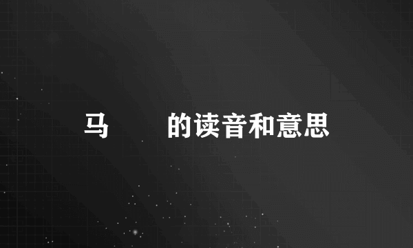 马騳骉的读音和意思