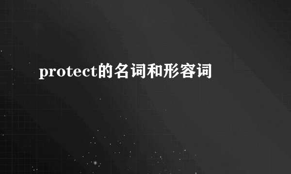 protect的名词和形容词