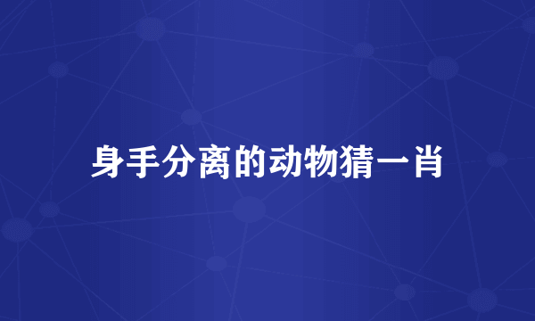 身手分离的动物猜一肖
