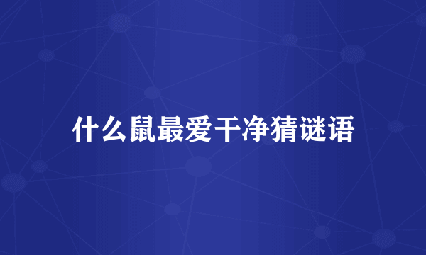 什么鼠最爱干净猜谜语