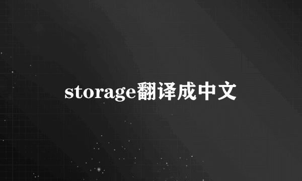 storage翻译成中文