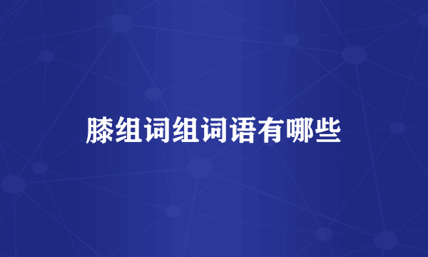 膝组词组词语有哪些