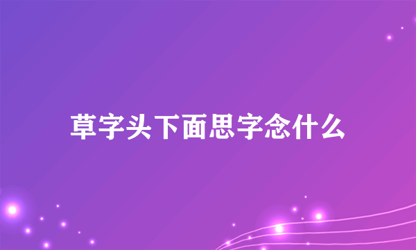 草字头下面思字念什么