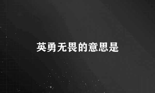 英勇无畏的意思是