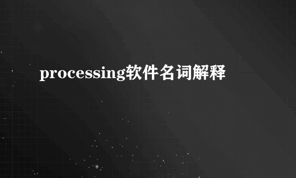 processing软件名词解释