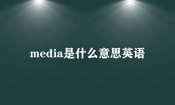 media是什么意思英语