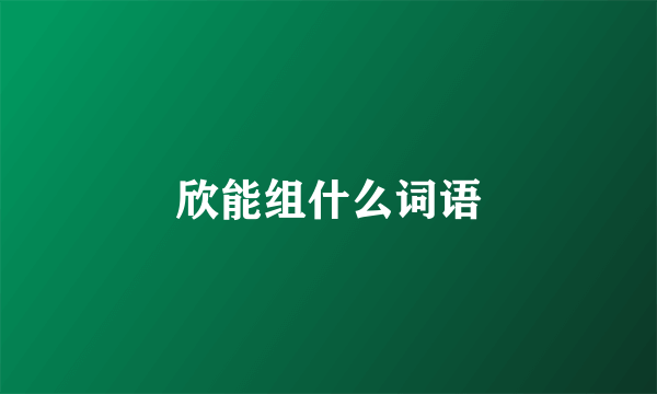 欣能组什么词语