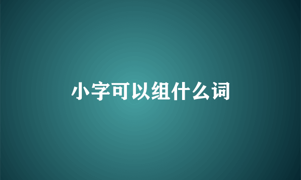 小字可以组什么词
