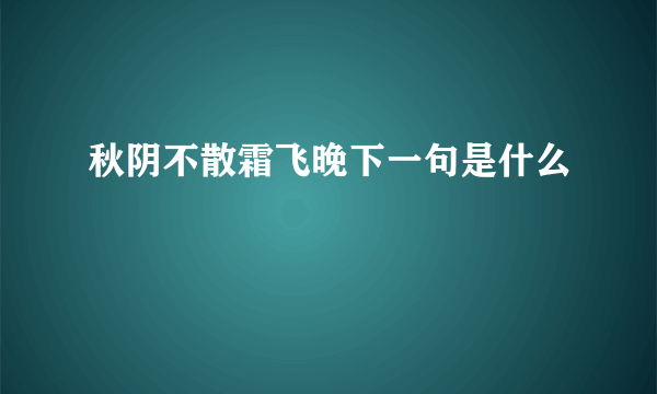 秋阴不散霜飞晚下一句是什么