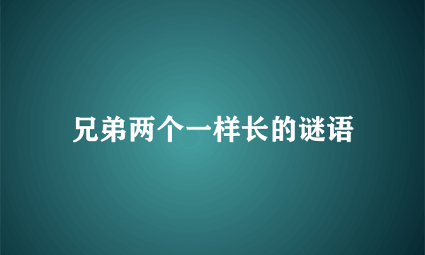 兄弟两个一样长的谜语