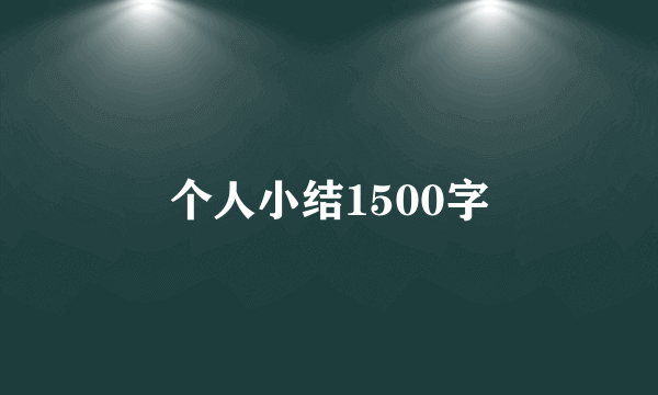 个人小结1500字