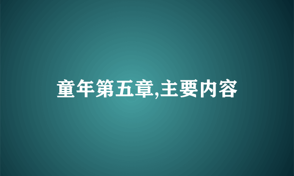 童年第五章,主要内容