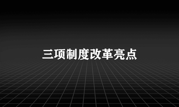 三项制度改革亮点