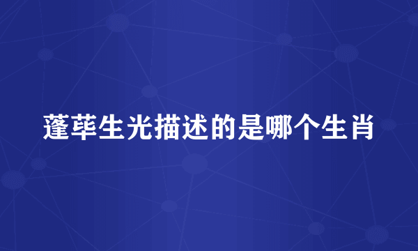 蓬荜生光描述的是哪个生肖