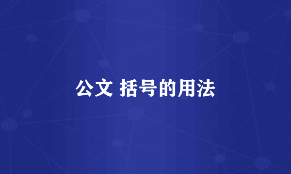 公文 括号的用法