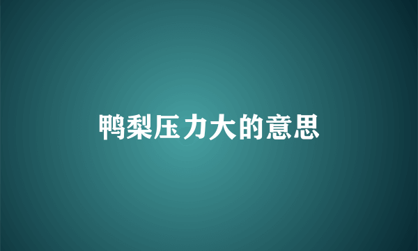 鸭梨压力大的意思