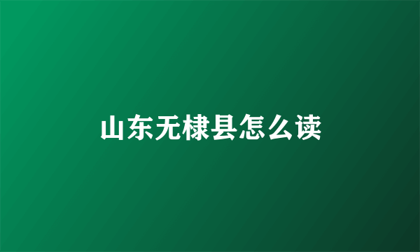 山东无棣县怎么读