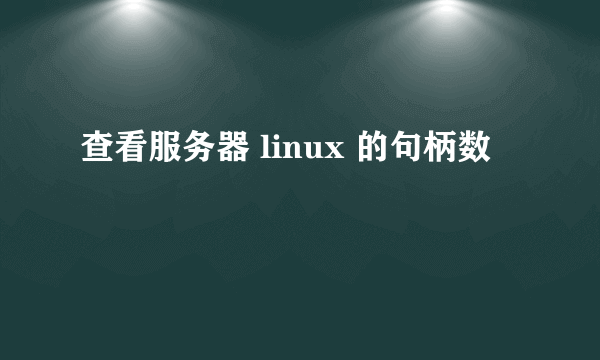 查看服务器 linux 的句柄数