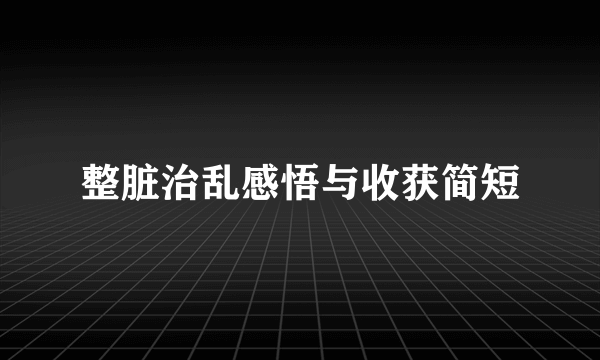 整脏治乱感悟与收获简短