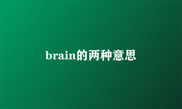 brain的两种意思
