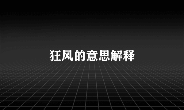 狂风的意思解释