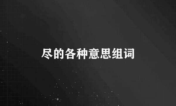 尽的各种意思组词