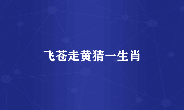 飞苍走黄猜一生肖