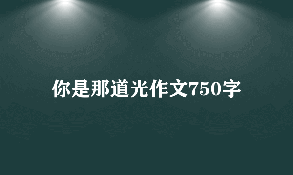 你是那道光作文750字
