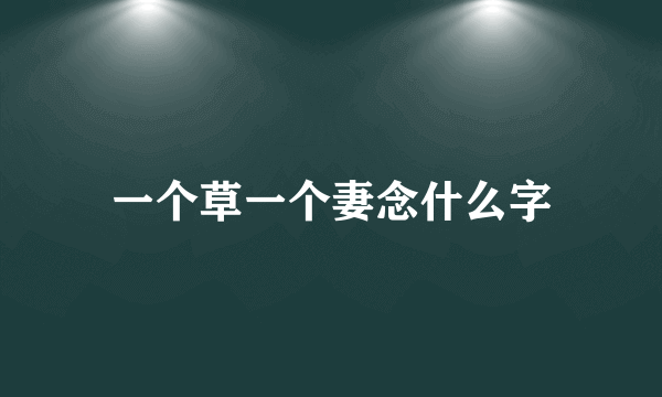 一个草一个妻念什么字