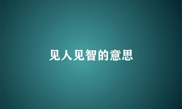 见人见智的意思