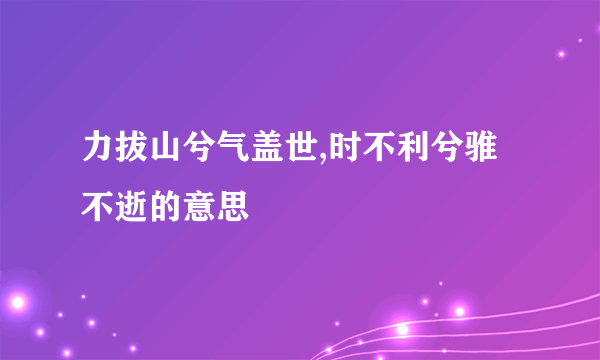 力拔山兮气盖世,时不利兮骓不逝的意思