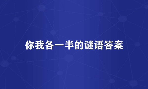 你我各一半的谜语答案