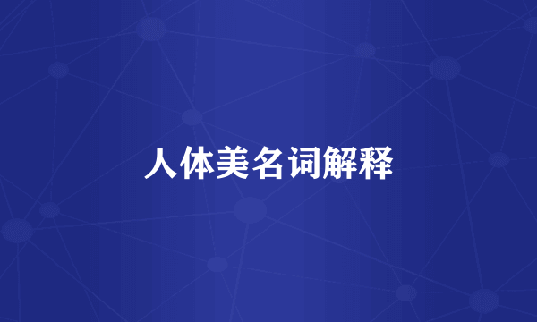 人体美名词解释