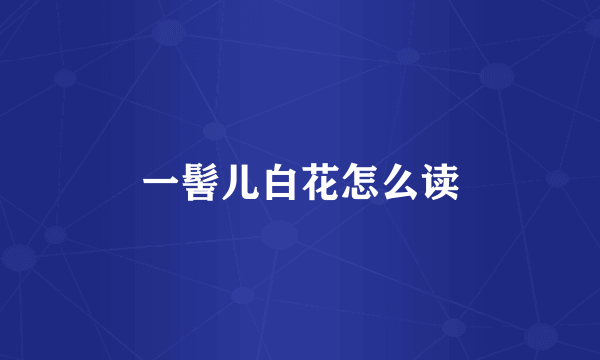 一髻儿白花怎么读