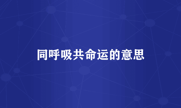 同呼吸共命运的意思