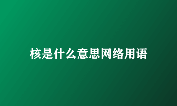 核是什么意思网络用语