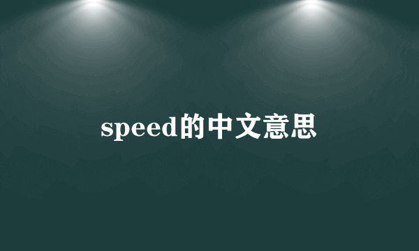 speed的中文意思