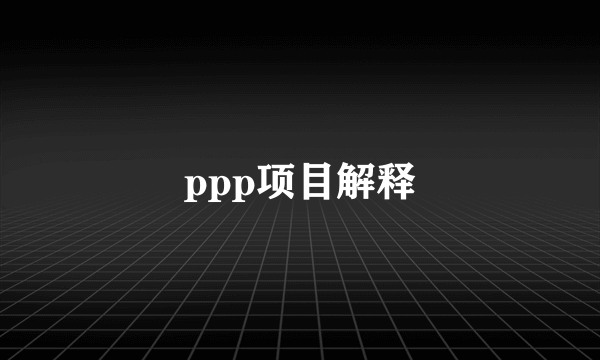 ppp项目解释