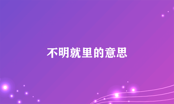 不明就里的意思