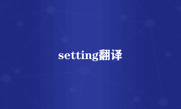 setting翻译