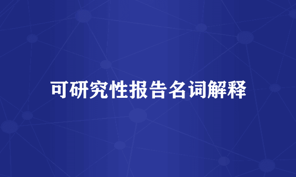 可研究性报告名词解释