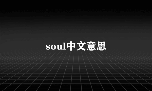 soul中文意思