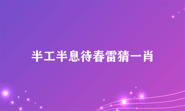半工半息待春雷猜一肖