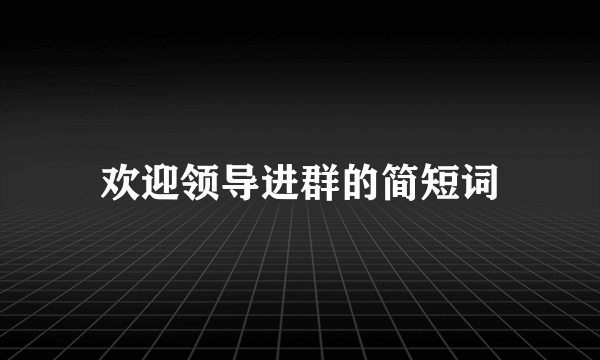 欢迎领导进群的简短词