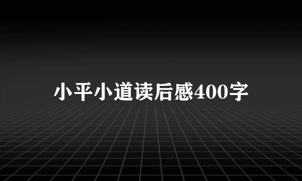 小平小道读后感400字