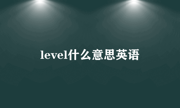level什么意思英语